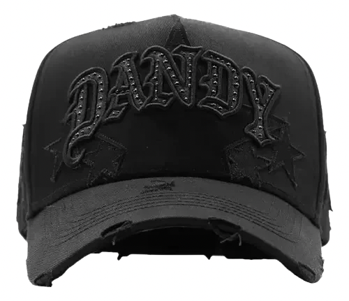 Dandy Hats “I’m a star”
